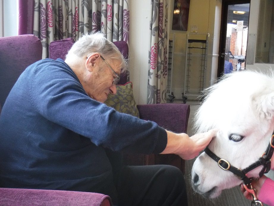 Ponies visit our Essex care home New Copford Place