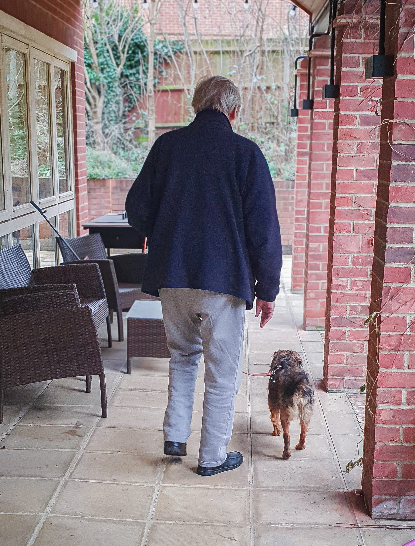 Older gentleman walking Thomas the rescue dog outside