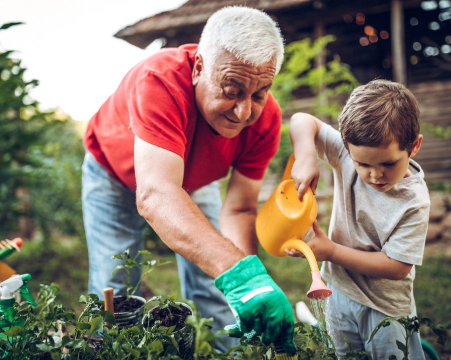 Grandfather and grandson in garden