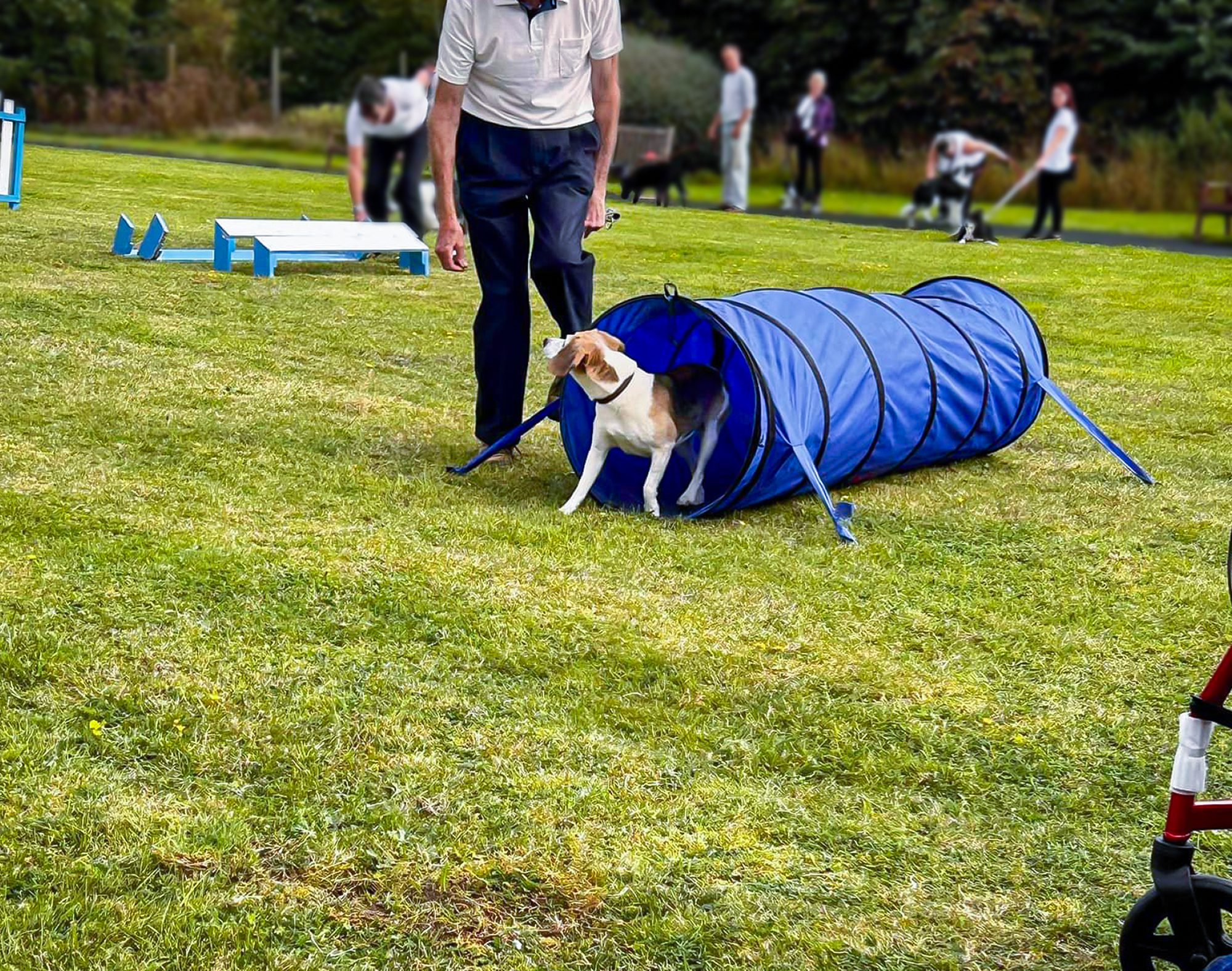 A dog taking part in an agility class at a previous Woofies event. 