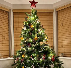 A picture of the winning Christmas tree. 