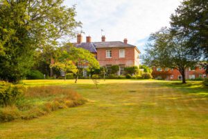 The Lawn
