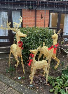 Reindeer-Outside-New-Copford-Place